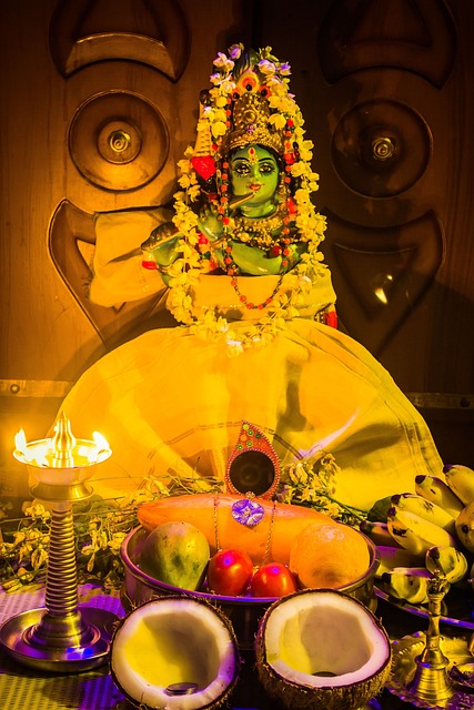 喀拉拉邦 印度 Vishu - 上的免费照片