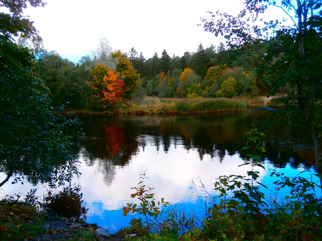 河 皮里塔 Esonia - 上的免费照片