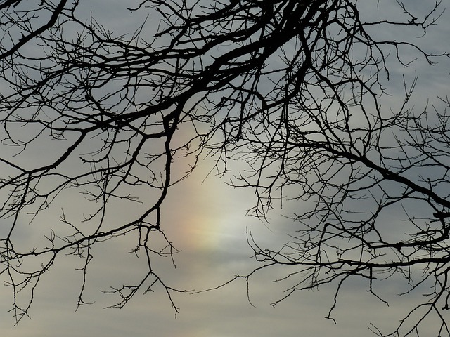 太阳 Sundog 幻日 - 上的免费照片
