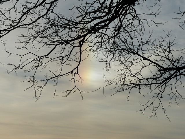 太阳 Sundog 幻日 - 上的免费照片
