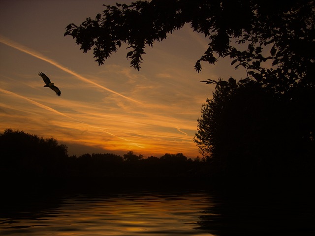 日落 湖 反射 - 上的免费照片