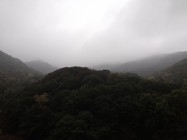 Gwanaksan 山 大自然 - 上的免费照片