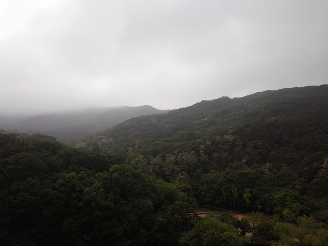 Gwanaksan 山 大自然 - 上的免费照片