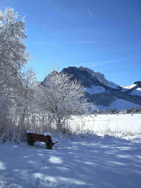 山 景观 自然 - 上的免费照片