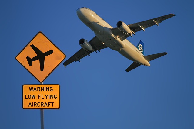 空中客车公司 空客 A320 飞机 - 上的免费照片