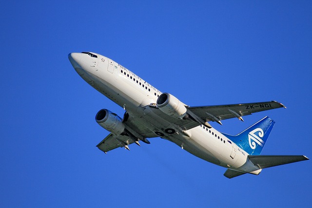 飞机起飞 新西兰航空 波音 737 319 - 上的免费照片