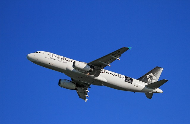 飞机起飞 新西兰航空 空中客车公司 空客 - 上的免费照片