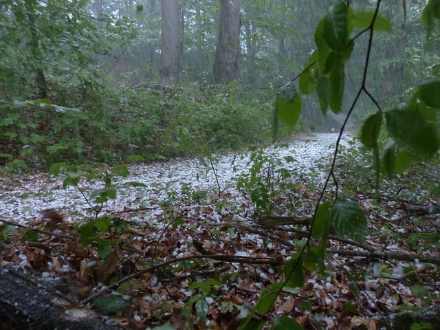 冰雹 风暴 雷雨 - 上的免费照片