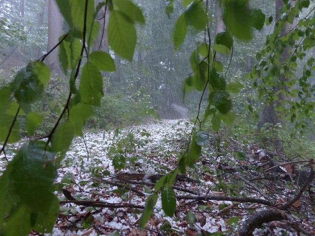 冰雹 风暴 雷雨 - 上的免费照片