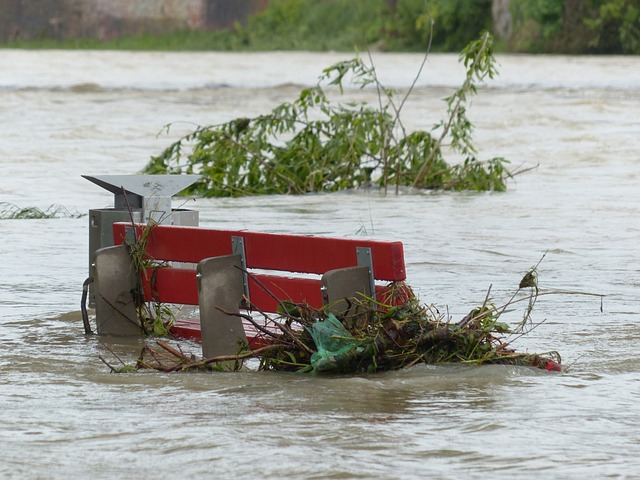 洪水 公园的长椅上 被淹 - 上的免费照片