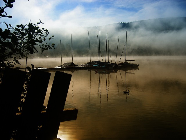 黑森林 湖 狄 - 上的免费照片
