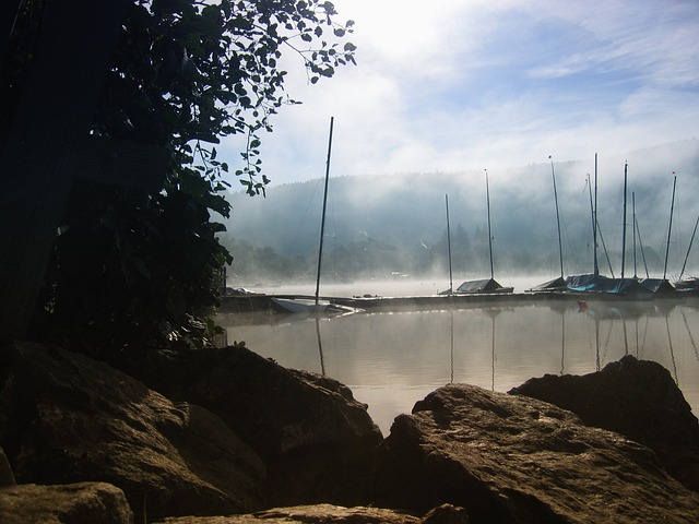 黑森林 湖 狄 - 上的免费照片