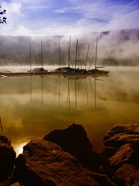 黑森林 湖 狄 - 上的免费照片