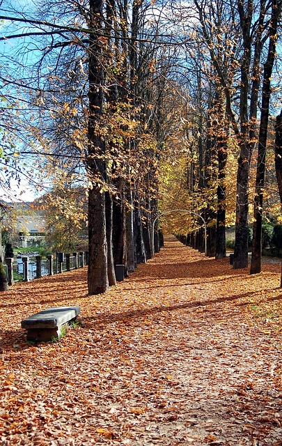 Camprodom Girona 秋天 - 上的免费照片