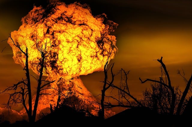 爆炸 火 森林 - 上的免费图片