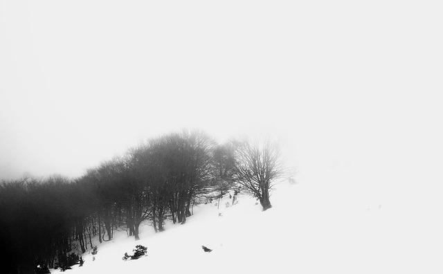 Matagalls 山 雪 - 上的免费照片