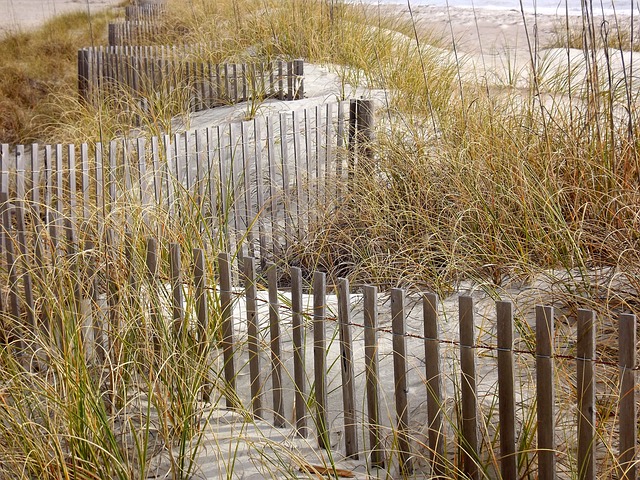草 栅栏 海滩 - 上的免费照片