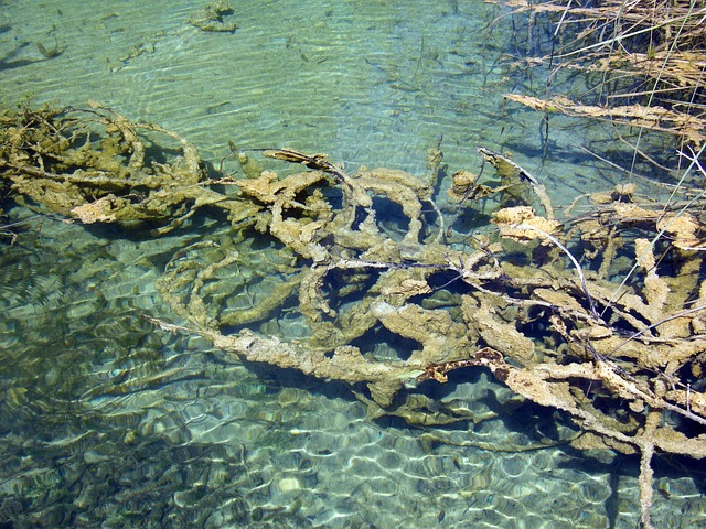 湖 水 干净的 - 上的免费照片