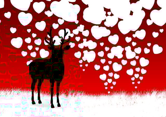 任 驯鹿 鹿角 - 上的免费图片