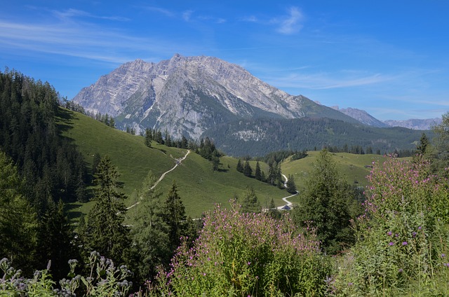 Watzmann 山 阿尔卑斯山 Berchtesgadener - 上的免费照片