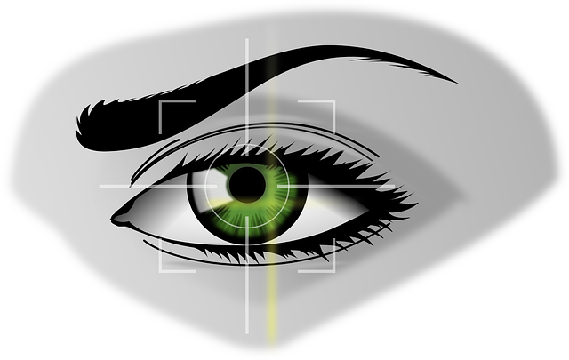 生物识别技术 眼睛 安全 - 免费矢量图形