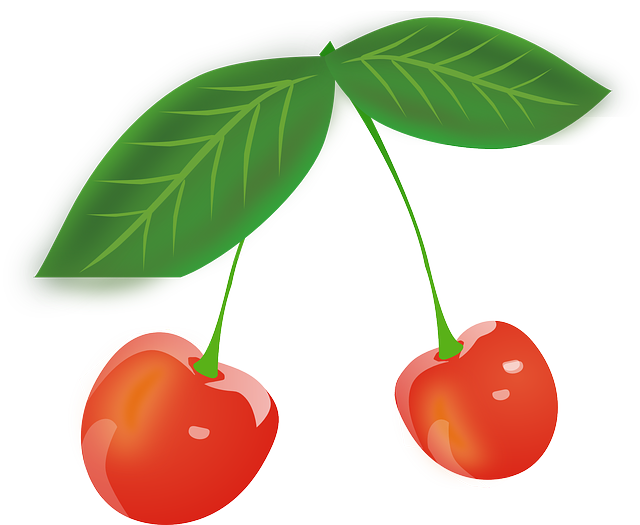 樱桃 浆果 水果 - 免费矢量图形