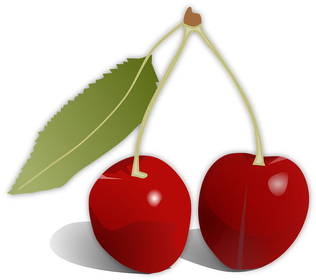 樱桃 水果 食物 - 免费矢量图形