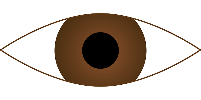 角膜 眼睛 眼球 - 免费矢量图形