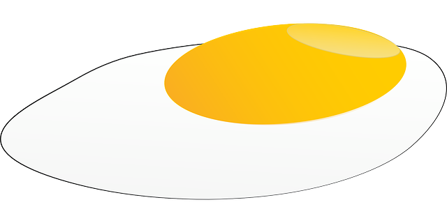 蛋黄 炒蛋 蛋 - 免费矢量图形