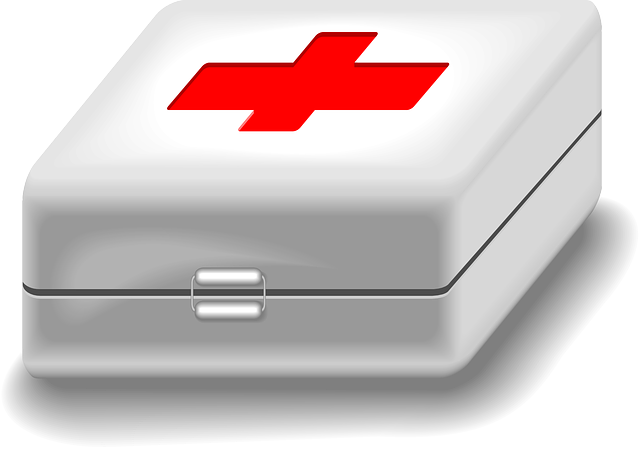 急诊医生 医药箱 成套工具 - 免费矢量图形