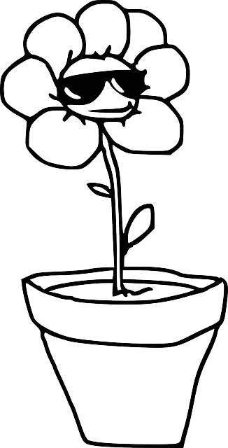 花 植物 锅 - 免费矢量图形