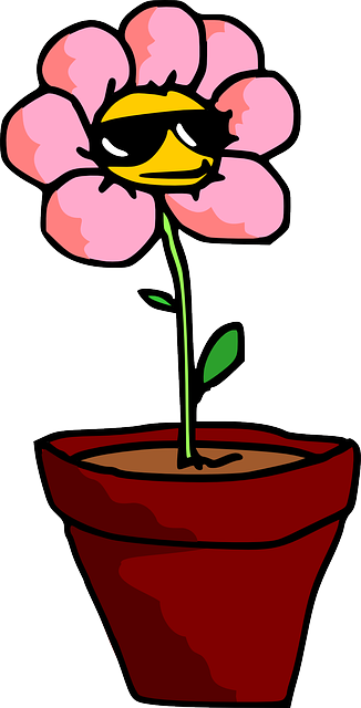花 植物 锅 - 免费矢量图形