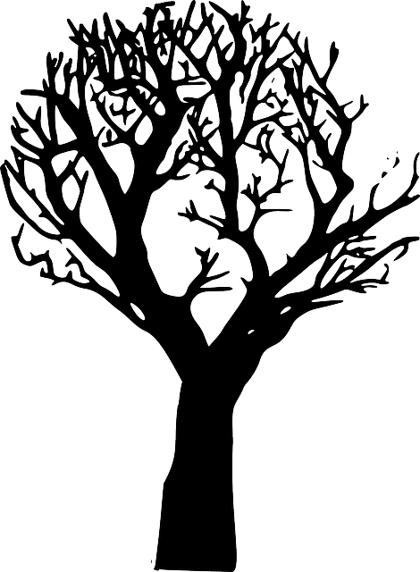 森林 衰退 森林枯死 - 免费矢量图形