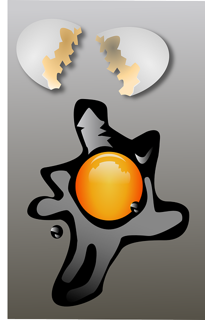 炒蛋 把蛋阳光的一面 Overeasy - 免费矢量图形