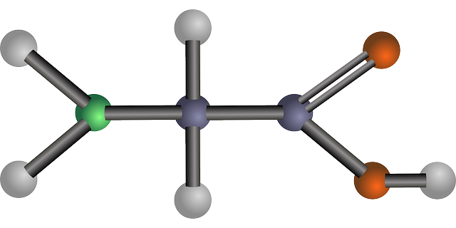 甘氨酸 氨基酸 生物学 - 免费矢量图形
