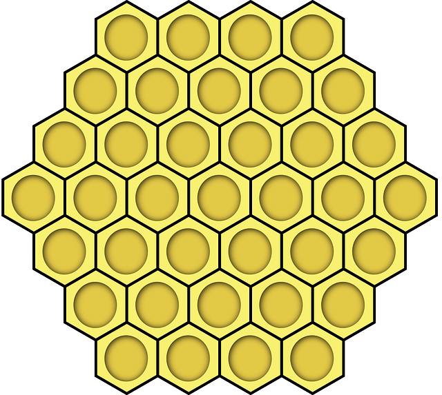蜂窝 蜜糖 蜜蜂 - 免费矢量图形