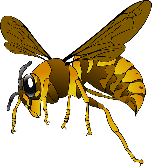 大黄蜂 黄蜂 昆虫 - 免费矢量图形