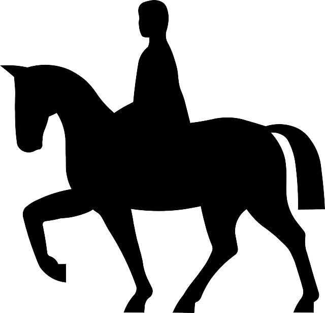 马 骑士 马术 - 免费矢量图形