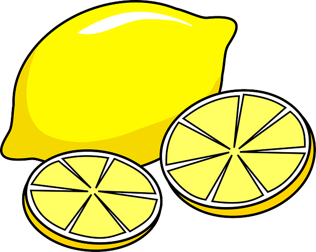 柠檬 水果 切片 - 免费矢量图形