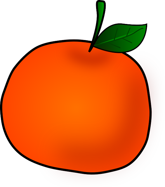 橙色的 水果 柑橘类水果 - 免费矢量图形