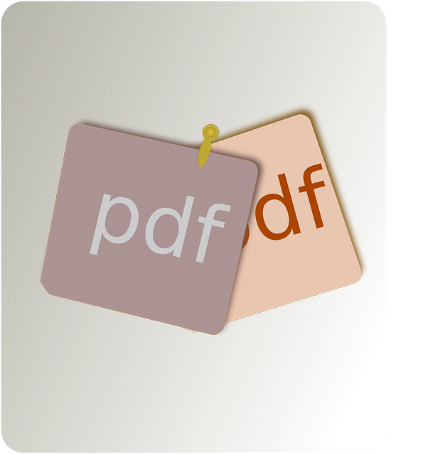 Pdf 文件类型 文档 - 免费矢量图形