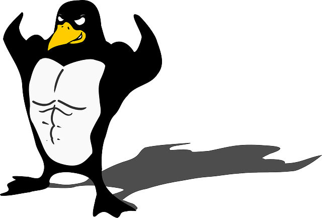 企鹅 爱好健美者 Linux - 免费矢量图形