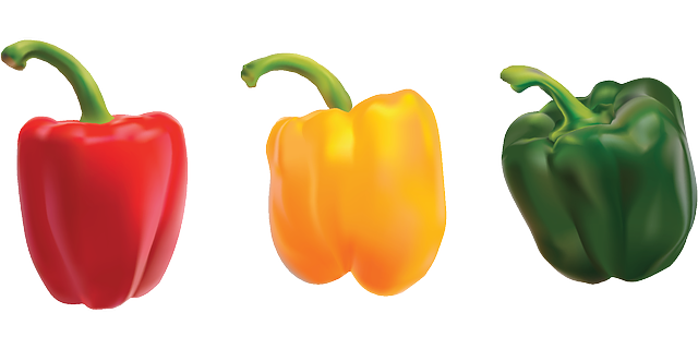 胡椒 辣椒 蔬菜 - 免费矢量图形