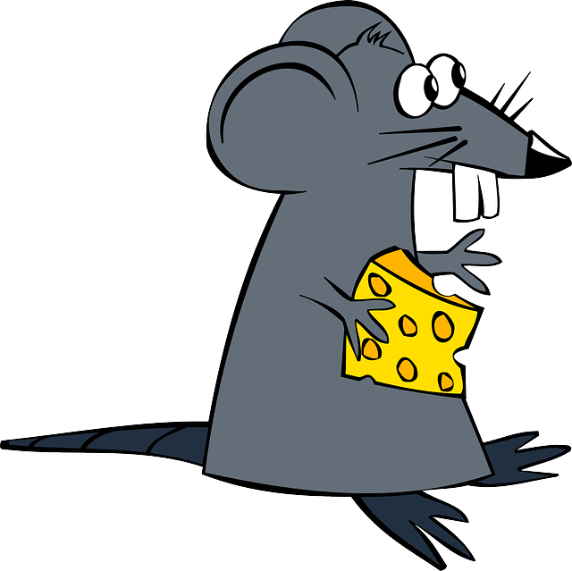 鼠 起司 动物 - 免费矢量图形