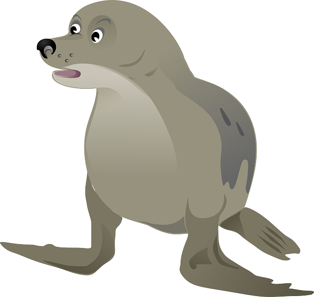 海豹 动物 野生动物 - 免费矢量图形