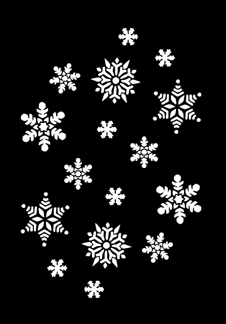 雪花 雪晶 冰 - 免费矢量图形