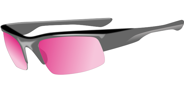 太阳镜 色调 眼镜 - 免费矢量图形