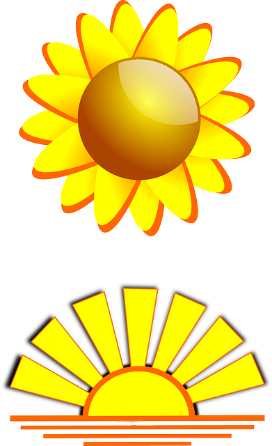 日出 暮 海洋 - 免费矢量图形