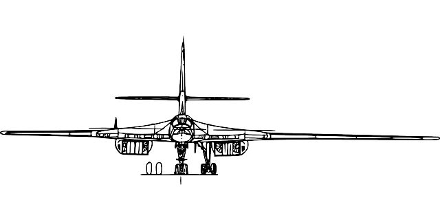 图波列夫 航空 苏联 - 免费矢量图形