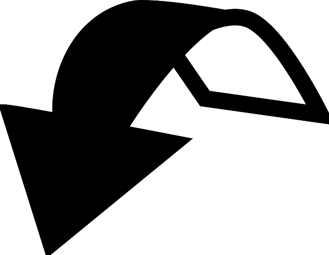 撤销 箭 图标 - 免费矢量图形